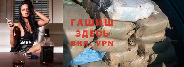 стаф Алзамай