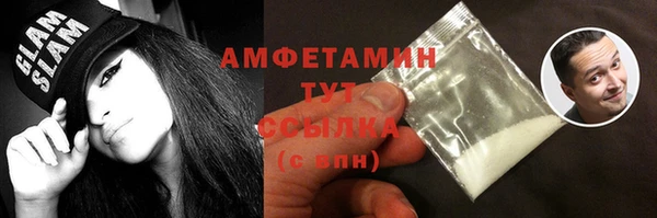 стаф Алзамай