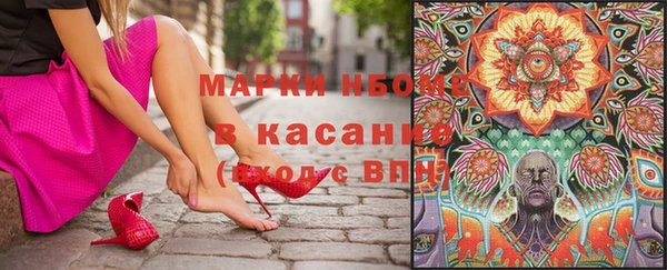 стаф Алзамай
