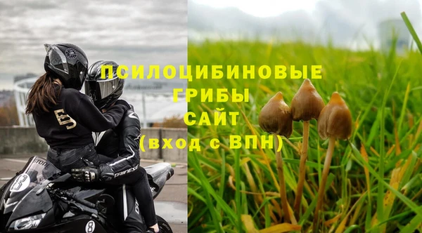 МДПВ Нея