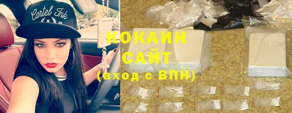 стаф Алзамай