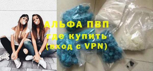 стаф Алзамай
