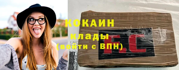 стаф Алзамай