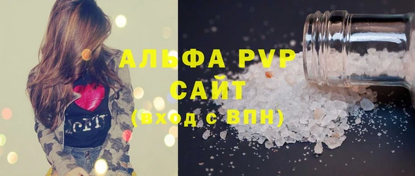 стаф Алзамай